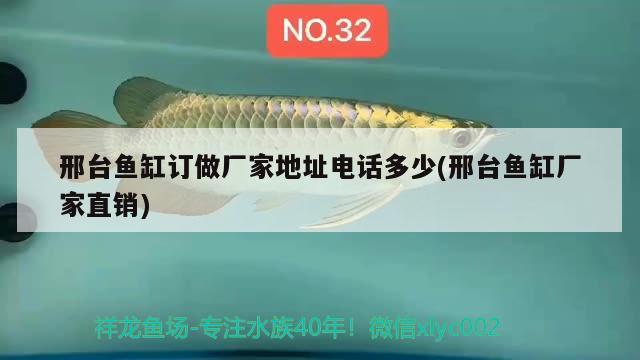 邢臺(tái)魚缸訂做廠家地址電話多少(邢臺(tái)魚缸廠家直銷) 黑云魚