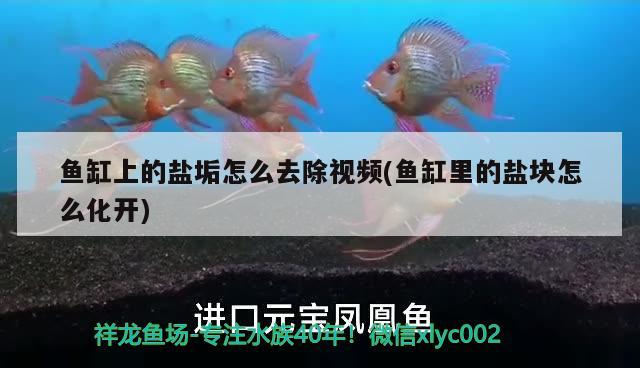 魚缸上的鹽垢怎么去除視頻(魚缸里的鹽塊怎么化開)