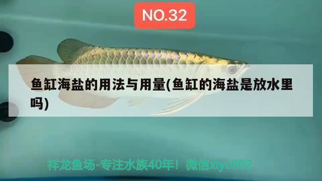 魚缸海鹽的用法與用量(魚缸的海鹽是放水里嗎)