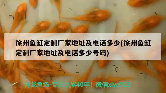 徐州魚缸定制廠家地址及電話多少(徐州魚缸定制廠家地址及電話多少號(hào)碼)