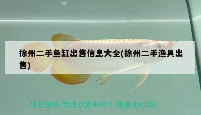 徐州二手魚缸出售信息大全(徐州二手漁具出售) 廣州水族器材濾材批發(fā)市場