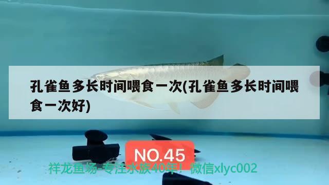 孔雀魚多長(zhǎng)時(shí)間喂食一次(孔雀魚多長(zhǎng)時(shí)間喂食一次好)