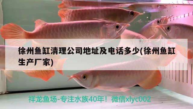 徐州魚缸清理公司地址及電話多少(徐州魚缸生產(chǎn)廠家)