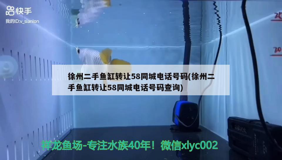 徐州二手魚缸轉讓58同城電話號碼(徐州二手魚缸轉讓58同城電話號碼查詢)