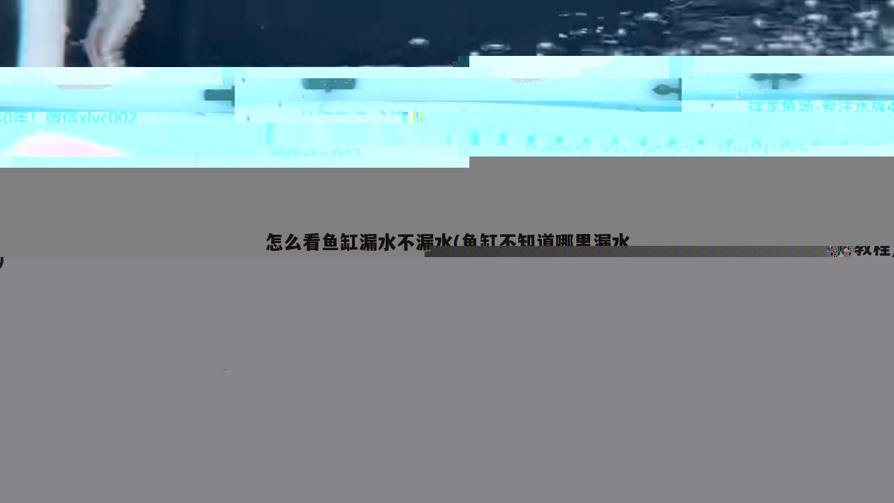 怎么看魚缸漏水不漏水(魚缸不知道哪里漏水,如何測試哪里漏水)