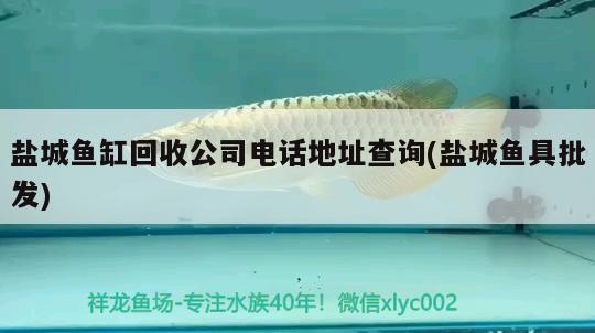 鹽城魚(yú)缸回收公司電話地址查詢(鹽城魚(yú)具批發(fā))