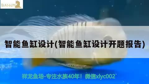 智能魚(yú)缸設(shè)計(jì)(智能魚(yú)缸設(shè)計(jì)開(kāi)題報(bào)告)