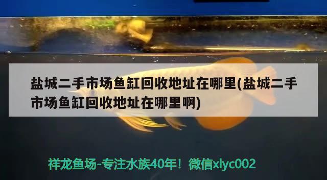 鹽城二手市場魚缸回收地址在哪里(鹽城二手市場魚缸回收地址在哪里啊) 魚缸百科