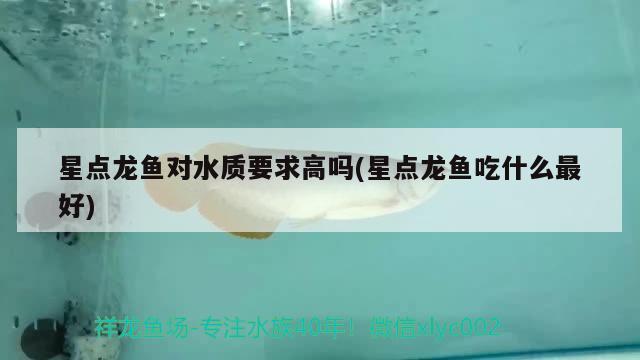 星點(diǎn)龍魚對水質(zhì)要求高嗎(星點(diǎn)龍魚吃什么最好)