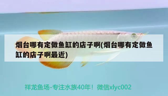 煙臺(tái)哪有定做魚缸的店子啊(煙臺(tái)哪有定做魚缸的店子啊最近)