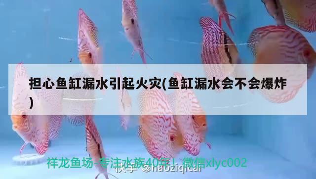 擔心魚缸漏水引起火災(魚缸漏水會不會爆炸)