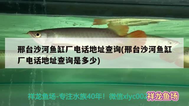 邢臺沙河魚缸廠電話地址查詢(邢臺沙河魚缸廠電話地址查詢是多少) 國產(chǎn)元寶鳳凰魚