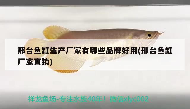 邢臺魚缸生產(chǎn)廠家有哪些品牌好用(邢臺魚缸廠家直銷) 黑云魚