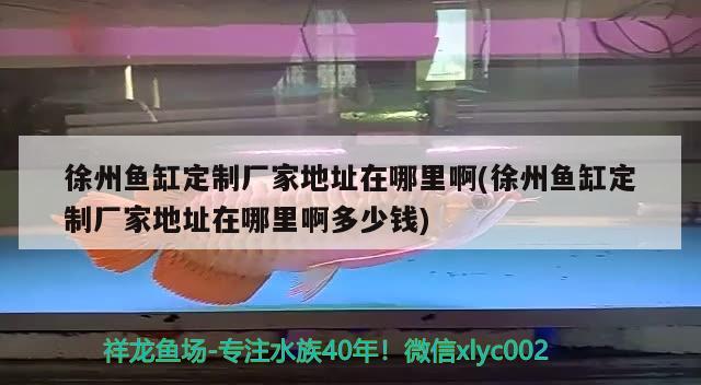 徐州魚缸定制廠家地址在哪里啊(徐州魚缸定制廠家地址在哪里啊多少錢)