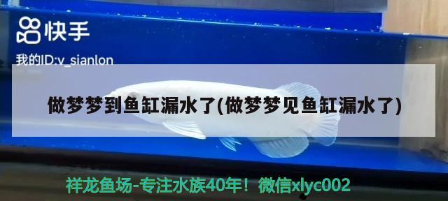 做夢夢到魚缸漏水了(做夢夢見魚缸漏水了) 觀賞魚魚苗