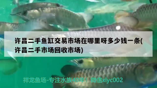 許昌二手魚缸交易市場在哪里呀多少錢一條(許昌二手市場回收市場)