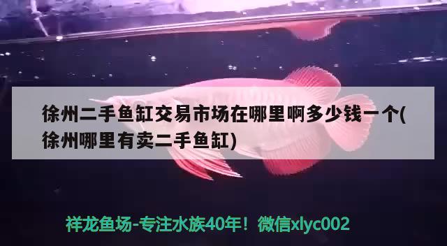 徐州二手魚缸交易市場在哪里啊多少錢一個(徐州哪里有賣二手魚缸) 水族世界