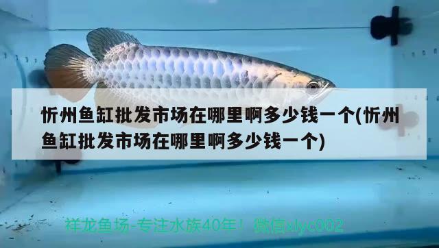 忻州魚(yú)缸批發(fā)市場(chǎng)在哪里啊多少錢(qián)一個(gè)(忻州魚(yú)缸批發(fā)市場(chǎng)在哪里啊多少錢(qián)一個(gè)) 觀賞魚(yú)飼料