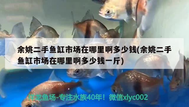 余姚二手魚缸市場在哪里啊多少錢(余姚二手魚缸市場在哪里啊多少錢一斤)