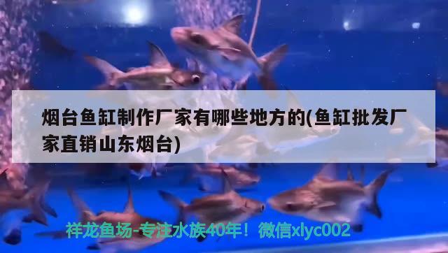 煙臺魚缸制作廠家有哪些地方的(魚缸批發(fā)廠家直銷山東煙臺)