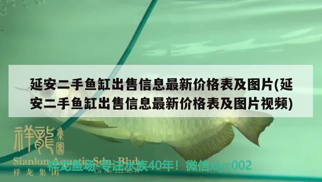 延安二手魚缸出售信息最新價格表及圖片(延安二手魚缸出售信息最新價格表及圖片視頻)