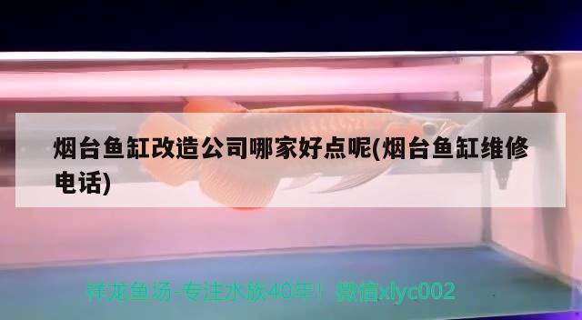 煙臺魚缸改造公司哪家好點呢(煙臺魚缸維修電話)