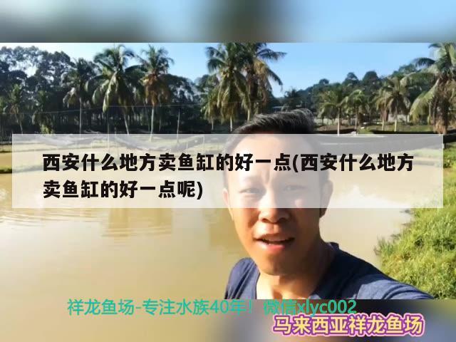 西安什么地方賣魚缸的好一點(西安什么地方賣魚缸的好一點呢)