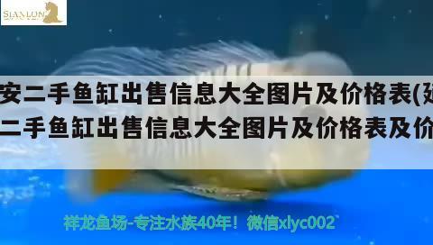 延安二手魚缸出售信息大全圖片及價(jià)格表(延安二手魚缸出售信息大全圖片及價(jià)格表及價(jià)格) 黑云魚 第1張