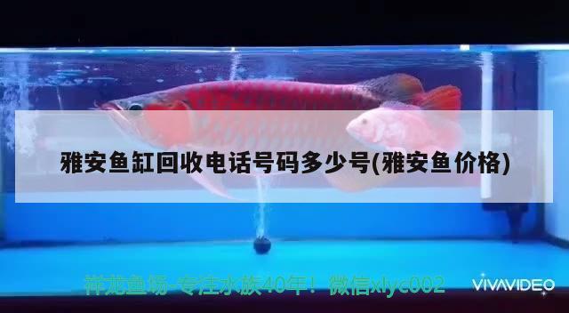 雅安魚缸回收電話號碼多少號(雅安魚價格) 定時器/自控系統(tǒng)