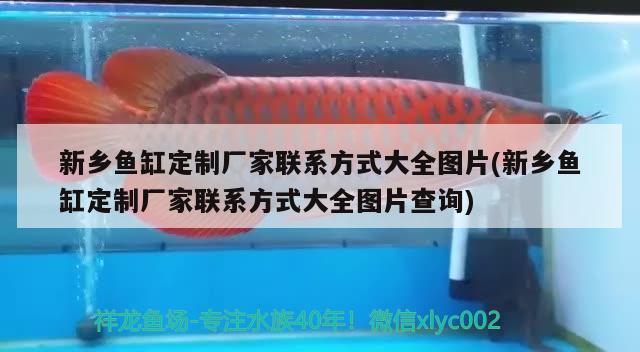 新鄉(xiāng)魚缸定制廠家聯(lián)系方式大全圖片(新鄉(xiāng)魚缸定制廠家聯(lián)系方式大全圖片查詢) iwish愛唯希品牌魚缸