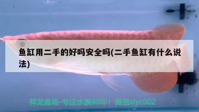 魚缸用二手的好嗎安全嗎(二手魚缸有什么說法) 紅白錦鯉魚