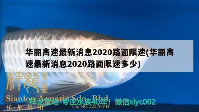 華麗高速最新消息2020路面限速(華麗高速最新消息2020路面限速多少) 觀賞魚