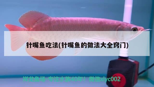 針嘴魚吃法(針嘴魚的做法大全竅門)