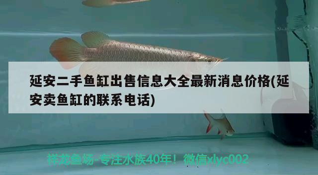 延安二手魚缸出售信息大全最新消息價格(延安賣魚缸的聯(lián)系電話)