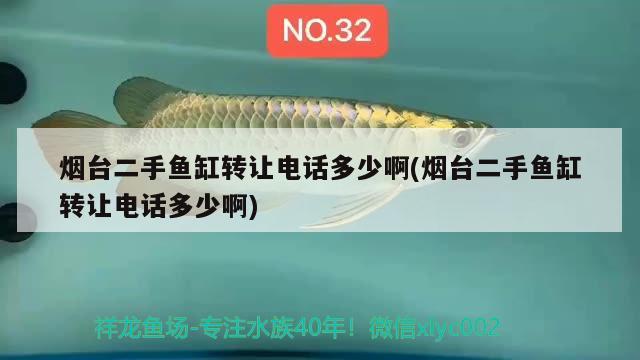 煙臺二手魚缸轉(zhuǎn)讓電話多少啊(煙臺二手魚缸轉(zhuǎn)讓電話多少啊)