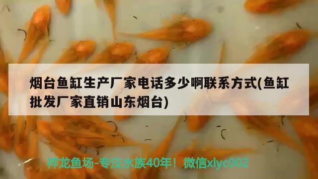 煙臺魚缸生產(chǎn)廠家電話多少啊聯(lián)系方式(魚缸批發(fā)廠家直銷山東煙臺)