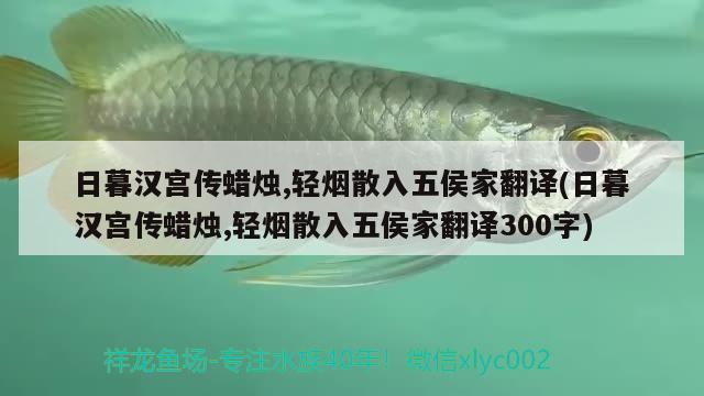 日暮漢宮傳蠟燭,輕煙散入五侯家翻譯(日暮漢宮傳蠟燭,輕煙散入五侯家翻譯300字) 觀賞魚