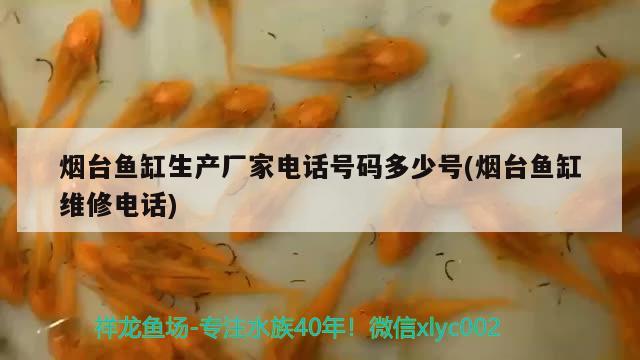 煙臺(tái)魚缸生產(chǎn)廠家電話號(hào)碼多少號(hào)(煙臺(tái)魚缸維修電話)