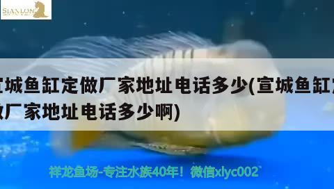 宣城魚缸定做廠家地址電話多少(宣城魚缸定做廠家地址電話多少啊)