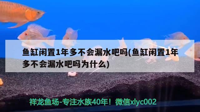 魚(yú)缸閑置1年多不會(huì)漏水吧嗎(魚(yú)缸閑置1年多不會(huì)漏水吧嗎為什么) 黃金鴨嘴魚(yú)