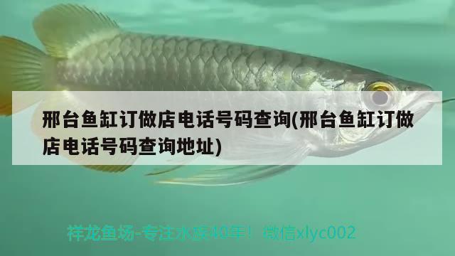 邢臺魚缸訂做店電話號碼查詢(邢臺魚缸訂做店電話號碼查詢地址)