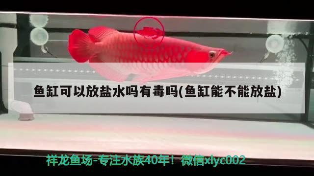 魚缸可以放鹽水嗎有毒嗎(魚缸能不能放鹽)