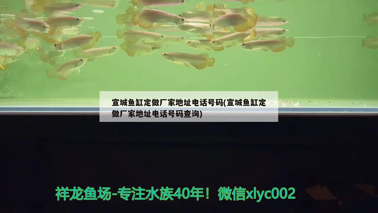 宣城魚缸定做廠家地址電話號(hào)碼(宣城魚缸定做廠家地址電話號(hào)碼查詢) 鐵甲武士