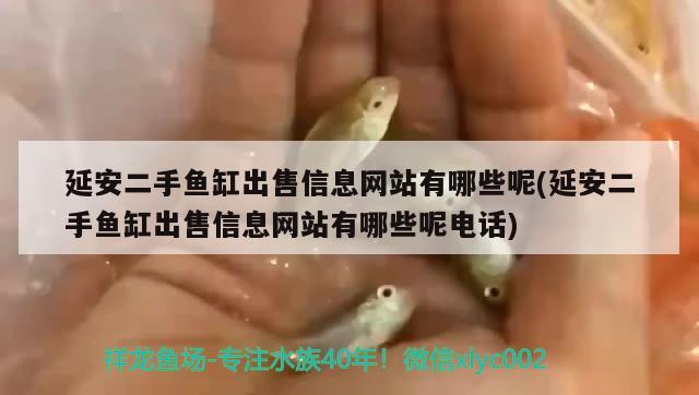 延安二手魚(yú)缸出售信息網(wǎng)站有哪些呢(延安二手魚(yú)缸出售信息網(wǎng)站有哪些呢電話)