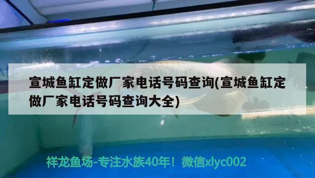 宣城魚缸定做廠家電話號碼查詢(宣城魚缸定做廠家電話號碼查詢大全) 其他品牌魚缸