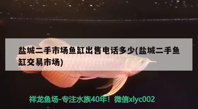 鹽城二手市場魚缸出售電話多少(鹽城二手魚缸交易市場) 廣州水族器材濾材批發(fā)市場