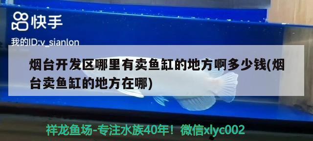 煙臺開發(fā)區(qū)哪里有賣魚缸的地方啊多少錢(煙臺賣魚缸的地方在哪)