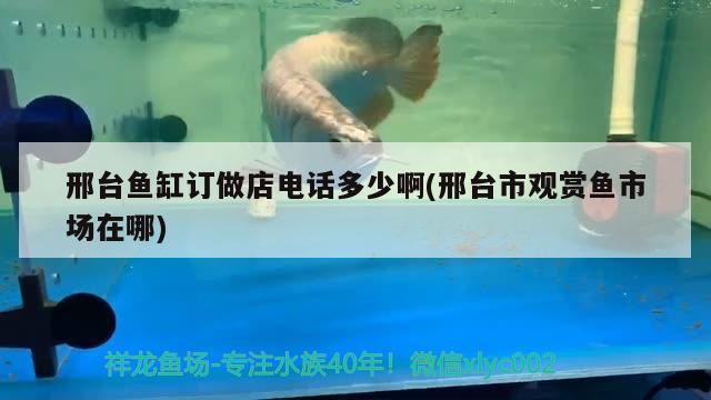 邢臺魚缸訂做店電話多少啊(邢臺市觀賞魚市場在哪)