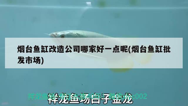 煙臺(tái)魚缸改造公司哪家好一點(diǎn)呢(煙臺(tái)魚缸批發(fā)市場(chǎng))