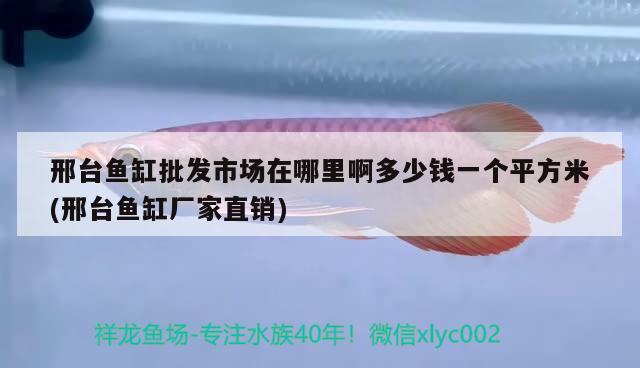 邢臺魚缸批發(fā)市場在哪里啊多少錢一個(gè)平方米(邢臺魚缸廠家直銷)